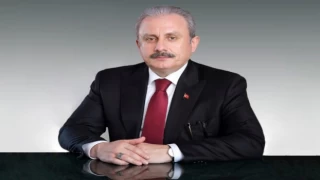 TBMM Başkanı Şentop: Türkiye’nin başarabileceği işti