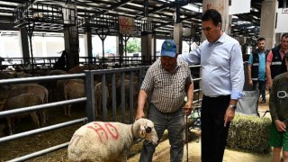 Türkiye’nin En Modern Kurban Pazarında Hareketli Günler