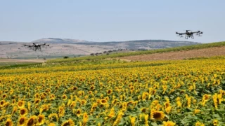 ZİHA’lar bu kez tırtıllar için havalandı