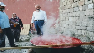 Kayseri Kocasinan’da dağıtılan fideler salça oldu