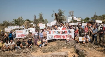 Kurumlardan ortak açıklama: Zeytinlikleri madenciliğe açan yönetmelik değişikliği iptal edilmeli