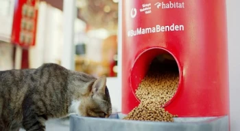 Vodafone Her Şey Yanımda’dan Pet Shop Alışverişi Sokak Hayvanları İçin Mamaya Dönüşüyor