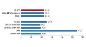 Yurt dışı üretici fiyat endeksi (YD-ÜFE) yıllık yüzde 111,34, aylık yüzde 0,66 arttı