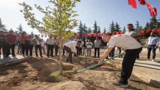 Zafer ve Anma coşkusu ’Barış Çınarı’ ile pekişti