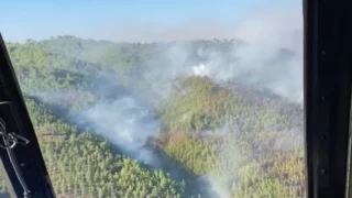 Antalya Alanya’da orman yangınına müdahale sürüyor