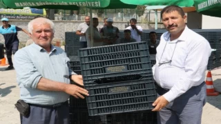 Manisa’da 4 bin 200 zeytin kasası Demircili üreticiye verildi