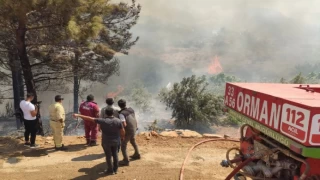 Mersin’deki orman yangınında ikinci gün... 820 kişilik barınma planlaması yapıldı