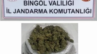 Bingöl’de 1,18 kilogram esrar ele geçirildi