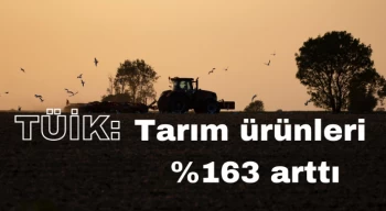 TÜİK: Tarım ürünleri üretici fiyat endeksi (Tarım-ÜFE) yıllık yüzde 163,32, aylık yüzde 4,59 arttı