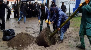 Terör saldırısında hayatını kaybeden Yağmur’un anısına fidan dikildi