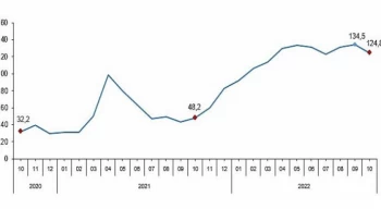 TÜİK Toplam ciro yıllık yüzde 124,8 arttı