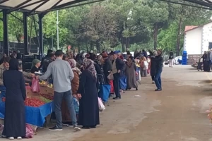 Değirmenköy Pazarı meyve ve sebze fiyatları (14.06.2023)