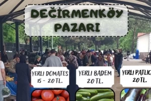 Değirmenköy Pazarı meyve ve sebze fiyatları (02.08.2023)