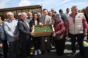Silivri Belediye Başkanı Bora Balcıoğlu ve İBB'den Çiftçilere Fide Desteği