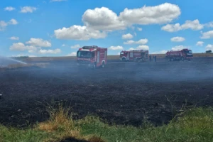Silivri, Değirmenköy'de 10 dönümden fazla buğday tarlası yandı