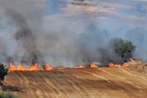 Silivri Değirmenköy'de 20 dönüm anız ve buğday yandı