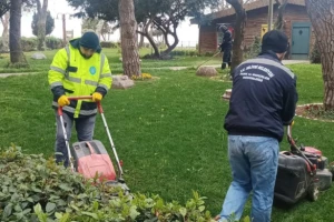 Silivri Belediyesi, Park ve Yeşil Alan Çalışmalarını Sürdürüyor